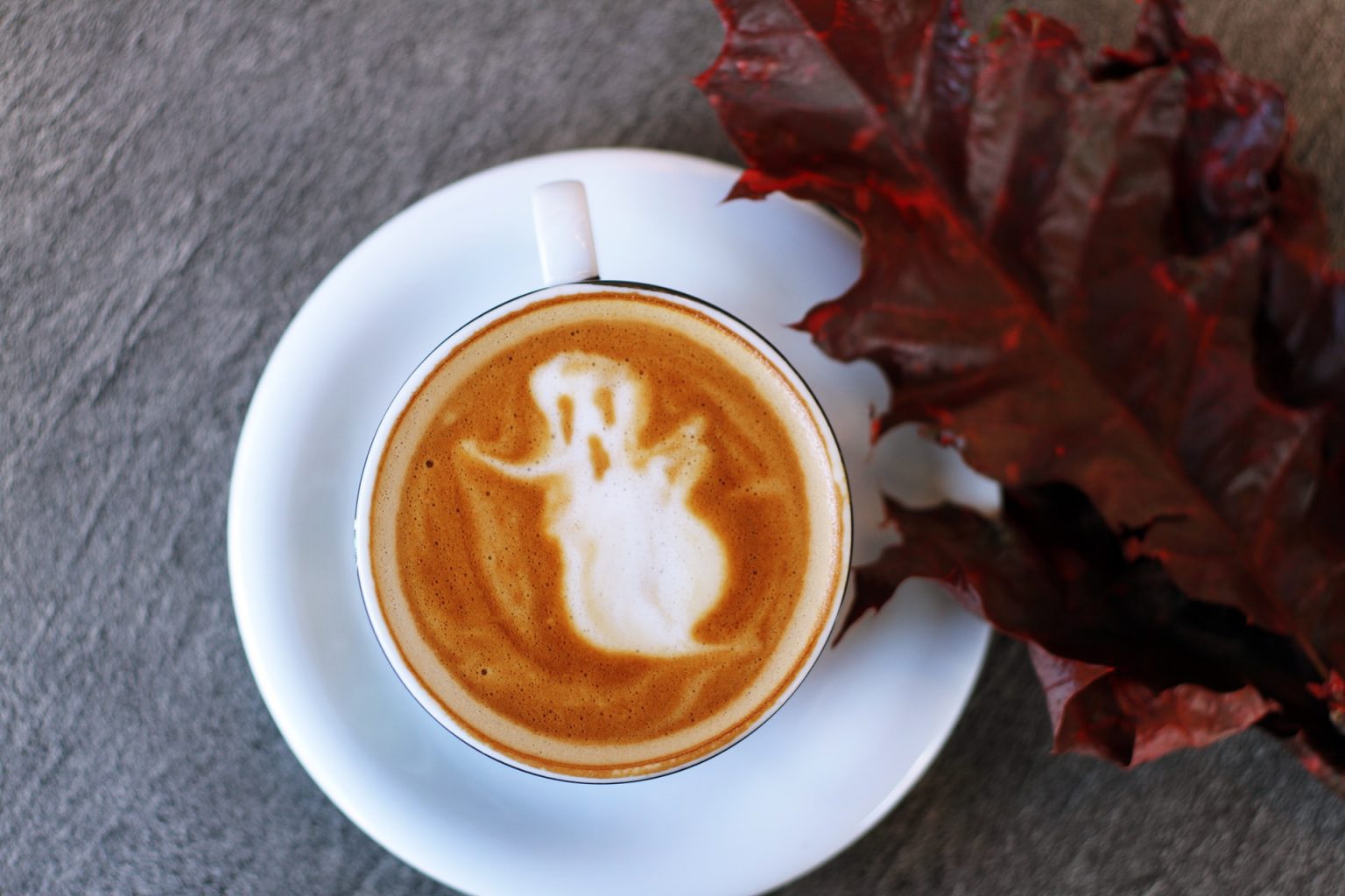 How to plot a segmentation mask - Best Tutorial Python